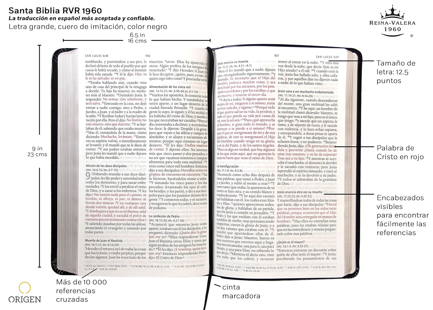 Biblia Reina Valera 1960 · Letra grande · Tapa piel color negro