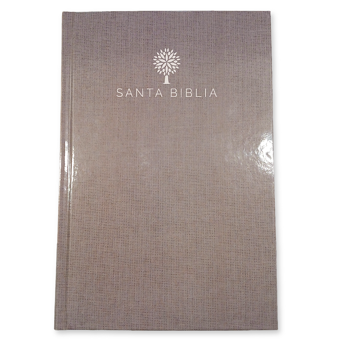 Biblia Reina Valera 1960 con Concordancia y Palabras de Jesús en Rojo – Tapa Dura Gris, Letra 12.5pt, 16x22 cm