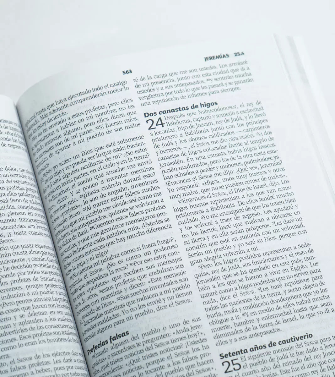 Biblia Devocional Matrimonial - Rústica