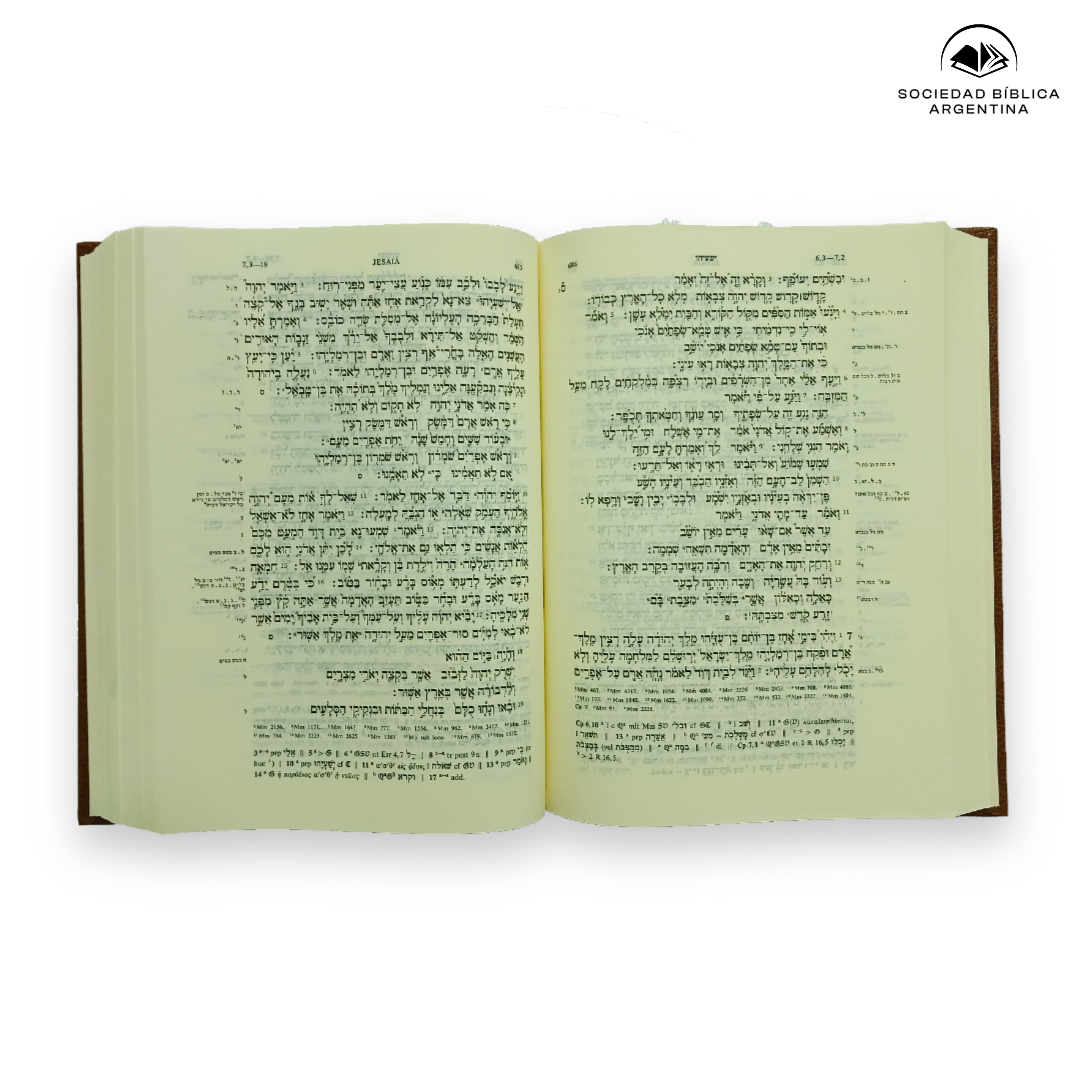 Biblia Hebraica Stuttgartensia Bilingüe (Hebreo-Arameo)