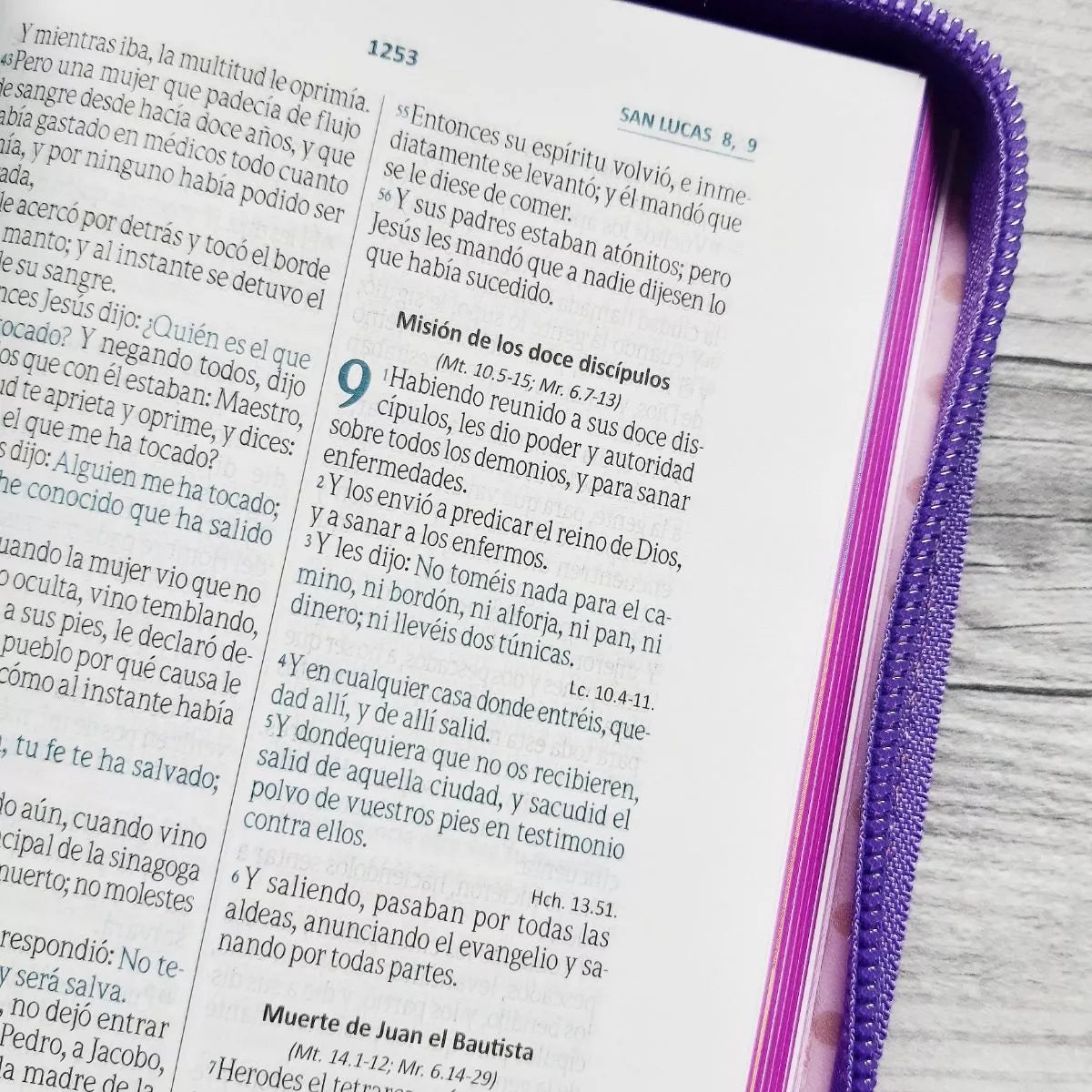 Biblia Reina Valera 1960 con cierre color rosa/fucsia "Amigos"