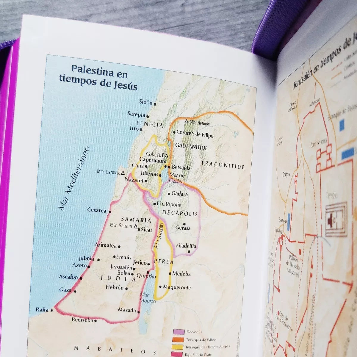 Biblia Reina Valera 1960 con cierre color rosa/fucsia "Amigos"