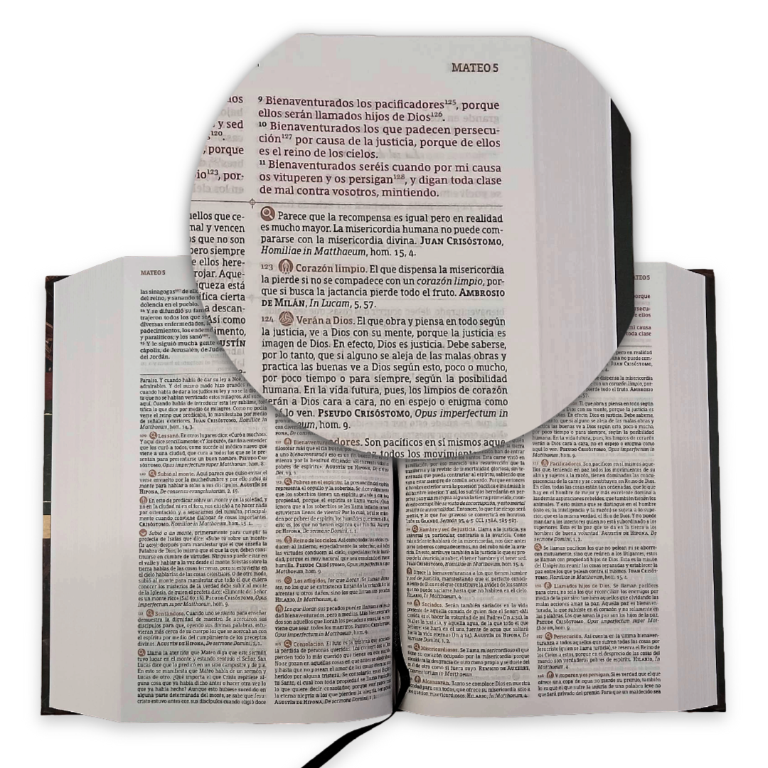 Biblia Reina Valera Revisada 2017 De Estudio Patrística Interior A Dos Colores, Tapa Dura, Palabras De Jesús En Rojo