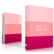 Biblia Reina Valera 2020 075 Letra Grande Concordancia Pjr Tricolor Rosa