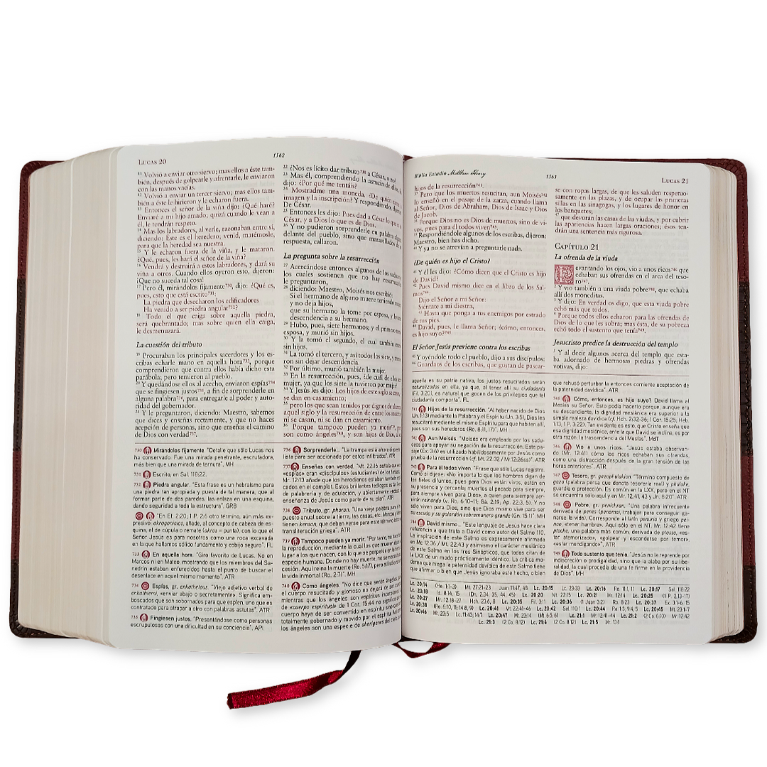Biblia De Estudio Matthew Henry RVR2017 - Piel Genuina a dos colores