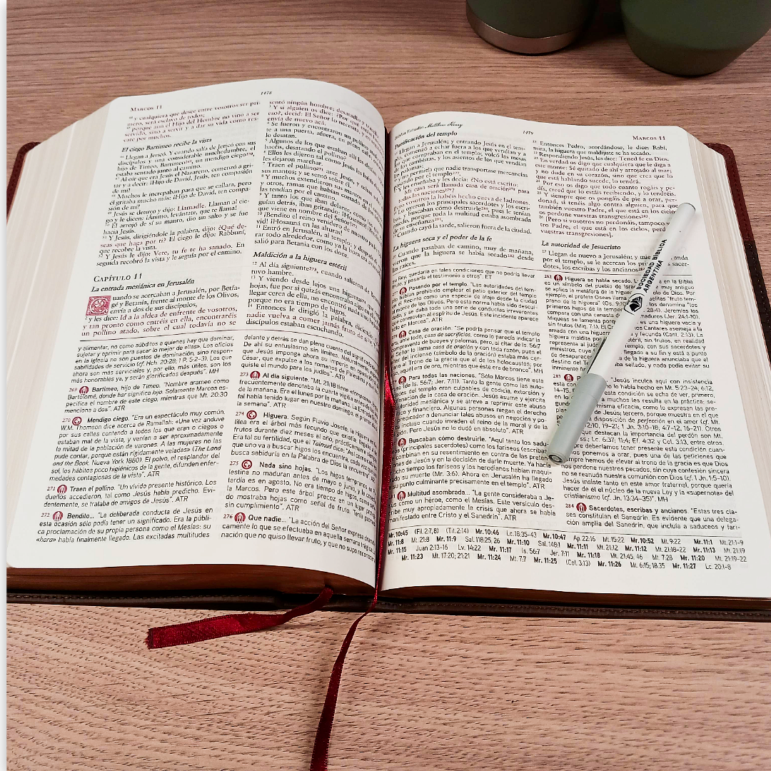 Biblia De Estudio Matthew Henry RVR2017 - Piel Genuina a dos colores