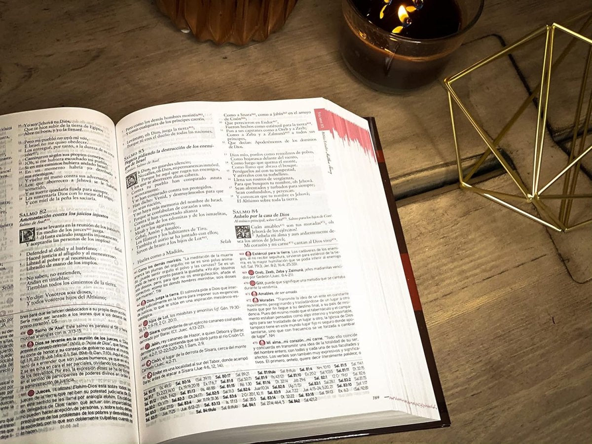 Biblia Reina Valera 1960 De Estudio Matthew Henry - Piel Genuina a dos colores