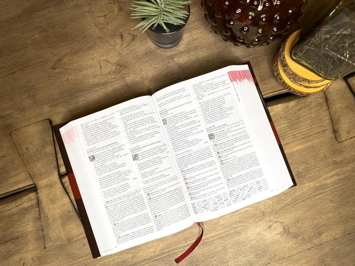 Biblia Reina Valera 1960 De Estudio Matthew Henry - Piel Genuina a dos colores