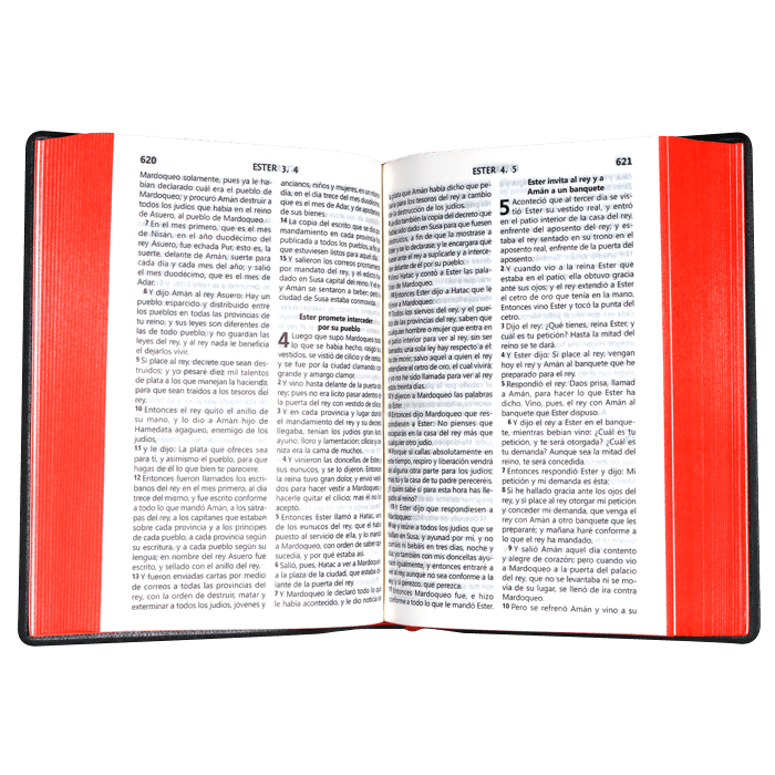 Biblia Reina Valera 1960 Letra Mediana 16x11 Tapa Vinilica Concord. Negro