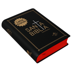Biblia Reina Valera 1960 Letra Mediana 16x11 Tapa Vinilica Concord. Negro