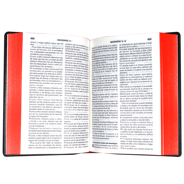 Biblia Reina Valera 1960 Letra Mediana  16x11 Tapa Vinilica Concord. Bordó