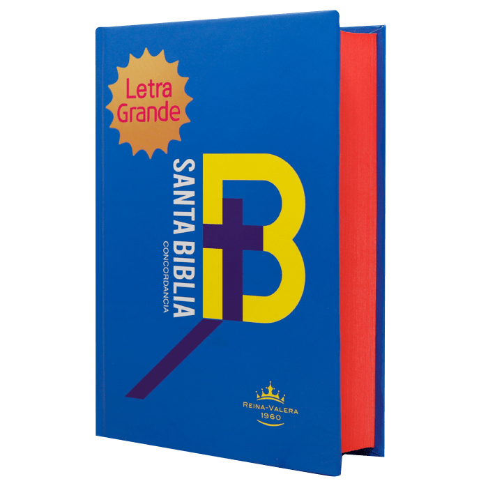 Biblia Reina Valera 1960 Letra Mediana 11x16cm TD