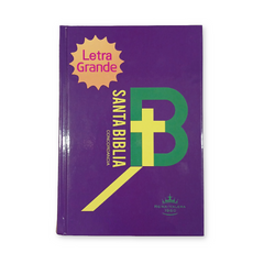 Biblia Reina Valera 1960 Letra Mediana 11x16cm TD