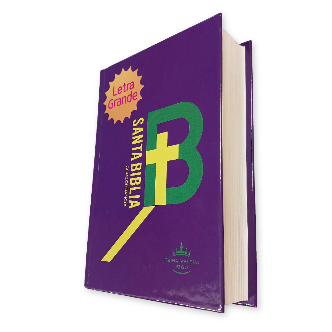 Biblia Reina Valera 1960 Letra Mediana 11x16cm TD
