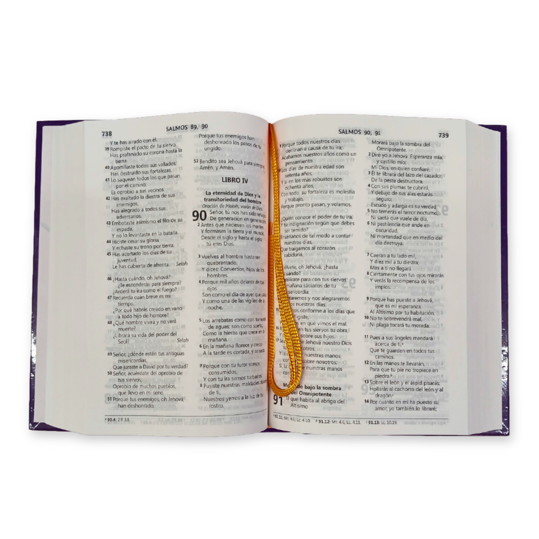 Biblia Reina Valera 1960 Letra Mediana 11x16cm TD