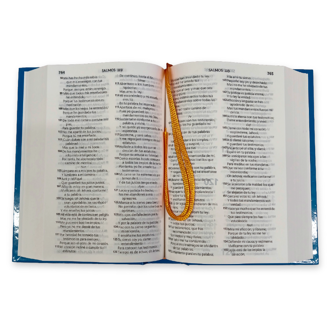 Biblia Reina Valera 1960 Letra Mediana 11x16cm TD