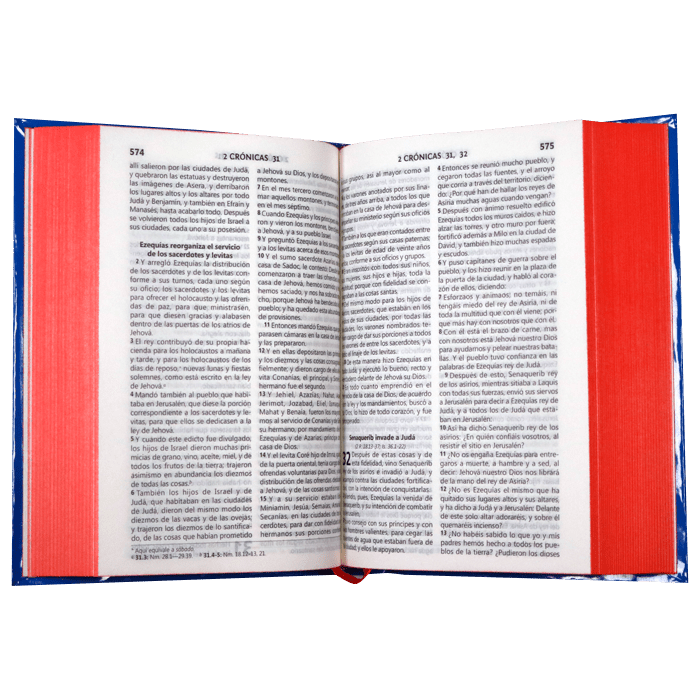 Biblia Reina Valera 1960 Letra Mediana 11x16cm TD