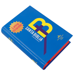 Biblia Reina Valera 1960 Letra Mediana 11x16cm TD