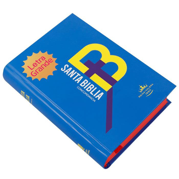 Biblia Reina Valera 1960 Letra Mediana 11x16cm TD
