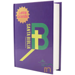 Biblia Reina Valera 1960 Letra Mediana 11x16cm TD