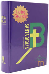 Biblia Reina Valera 1960 Letra Mediana 11x16cm TD