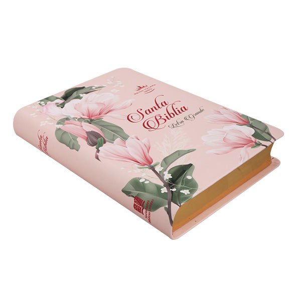 Biblia Reina Valera 1960 Letra Mediana 21x14cm Tapa PU PE IG Colores