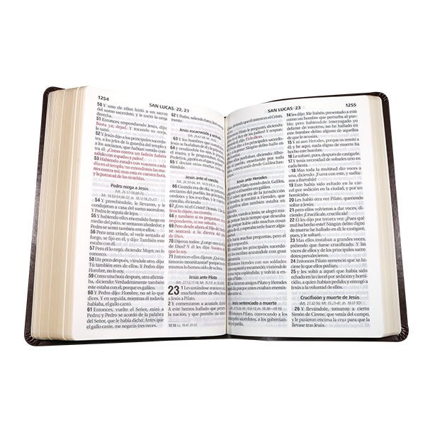 Biblia Reina Valera 1960 Letra Gigante 17x23cm Tapa PU Concordancia Cafe