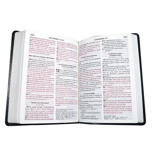 Biblia Reina Valera 1960 Letra Gigante 17x23cm Tapa PU Concordancia Verde