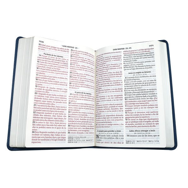 Biblia Reina Valera 1960 Letra Gigante 17x23cm Tapa PU Concordancia Celeste