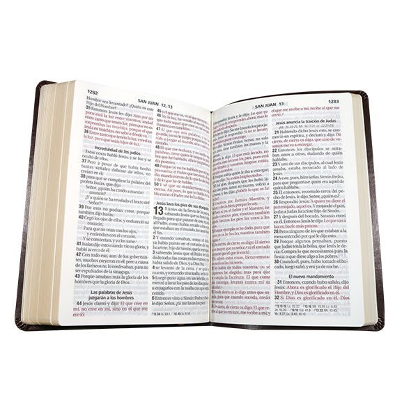 Biblia Reina Valera 1960 Letra Gigante 17x23cm Tapa PU Concordancia Vino