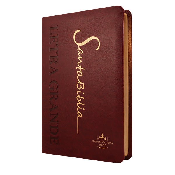 Biblia Reina Valera 1960 Letra Mediana 14x21cm Bordo