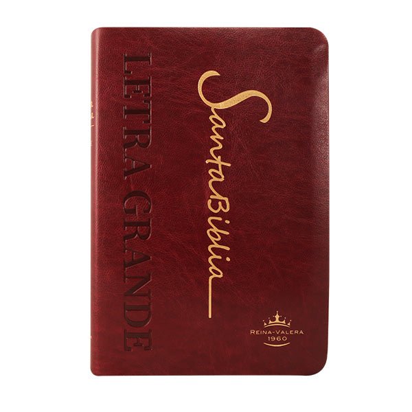 Biblia Reina Valera 1960 Letra Mediana 14x21cm Bordo