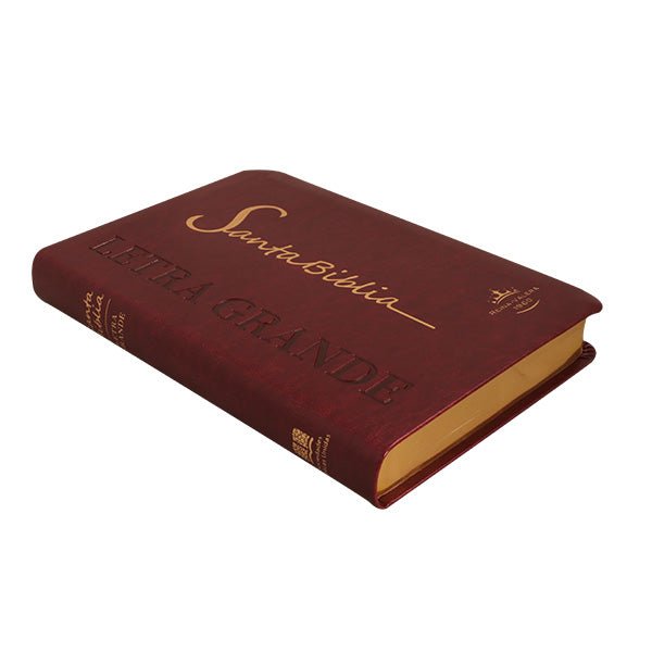 Biblia Reina Valera 1960 Letra Mediana 14x21cm Bordo