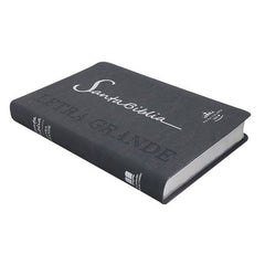 BIBLIA RVR065cLG PE SP LETRA 11p x 14x21 GRIS