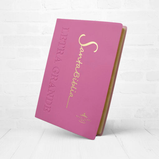 Biblia Reina Valera 1960 Letra Estándar Con Concordancia Tapa PU Rosada 14 x 21 cm