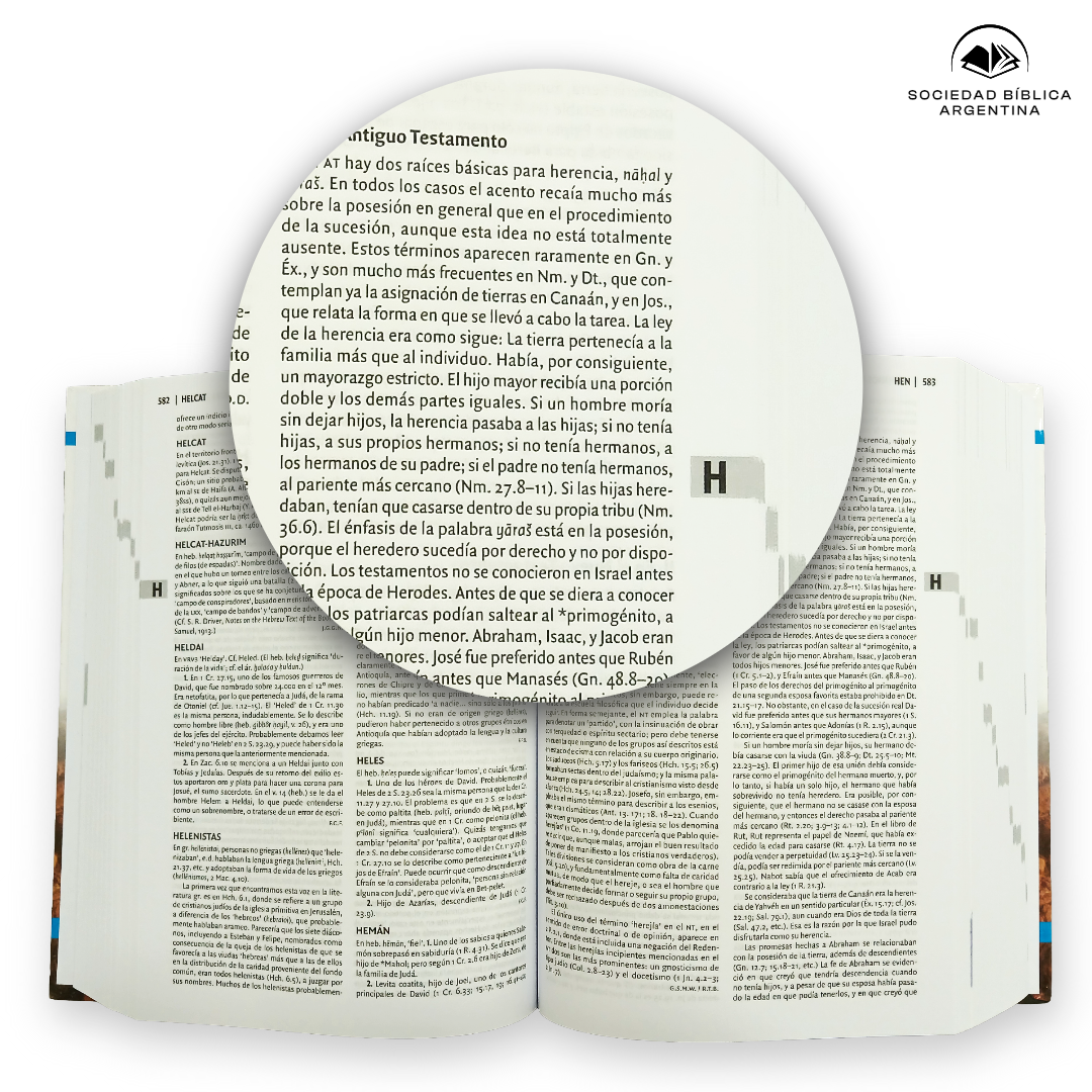 Nuevo Diccionario Bíblico Certeza