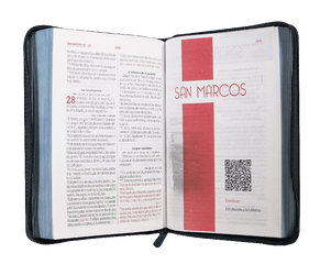 Biblia Reina Valera 1960 Letra Grande Pjr Cierre Gris Qr