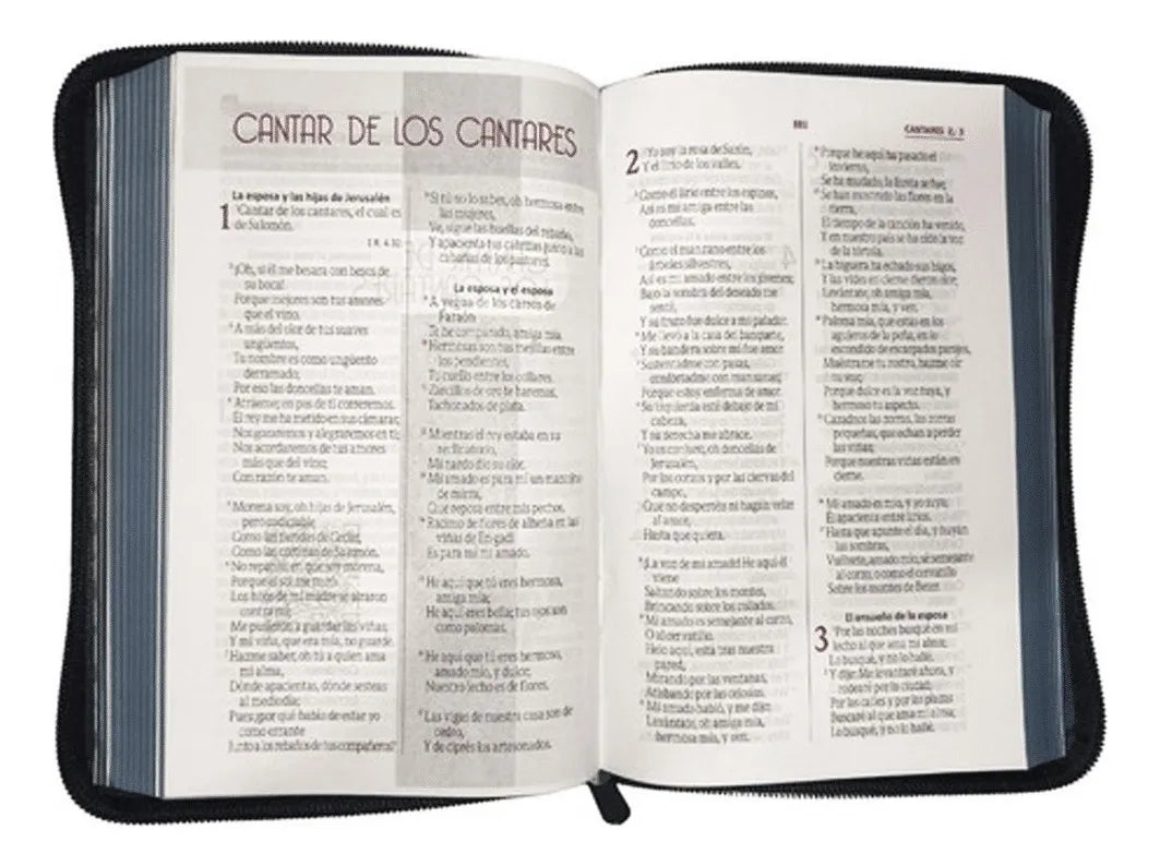 Biblia Reina Valera 1960 letra grande con cierre palabras de Jesús en rojo imitación piel gris canto gris