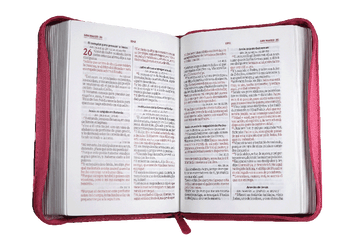 Biblia Reina Valera 1960 Bordo Flores Pjr Ayudas Qr