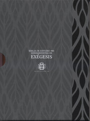 Biblia Reina Valera 1960 letra gigante con cierre imitación piel negra canto plateado