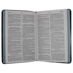 Biblia Reina Valera 1960 letra mediana negra canto gris pintado