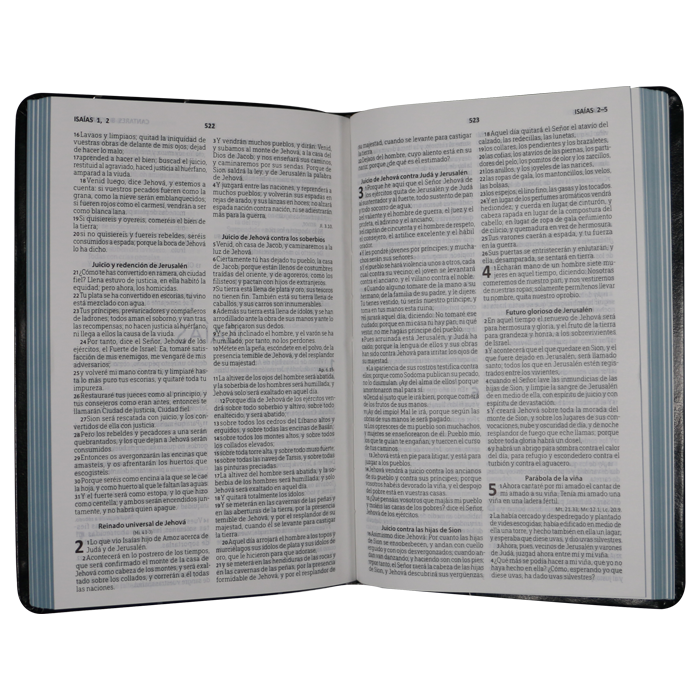 Biblia Reina Valera 1960 letra mediana negra canto gris pintado