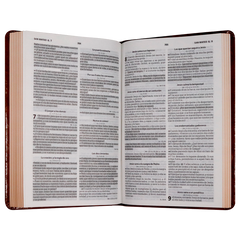 Biblia Reina Valera 1960 letra mediana café canto café pintado