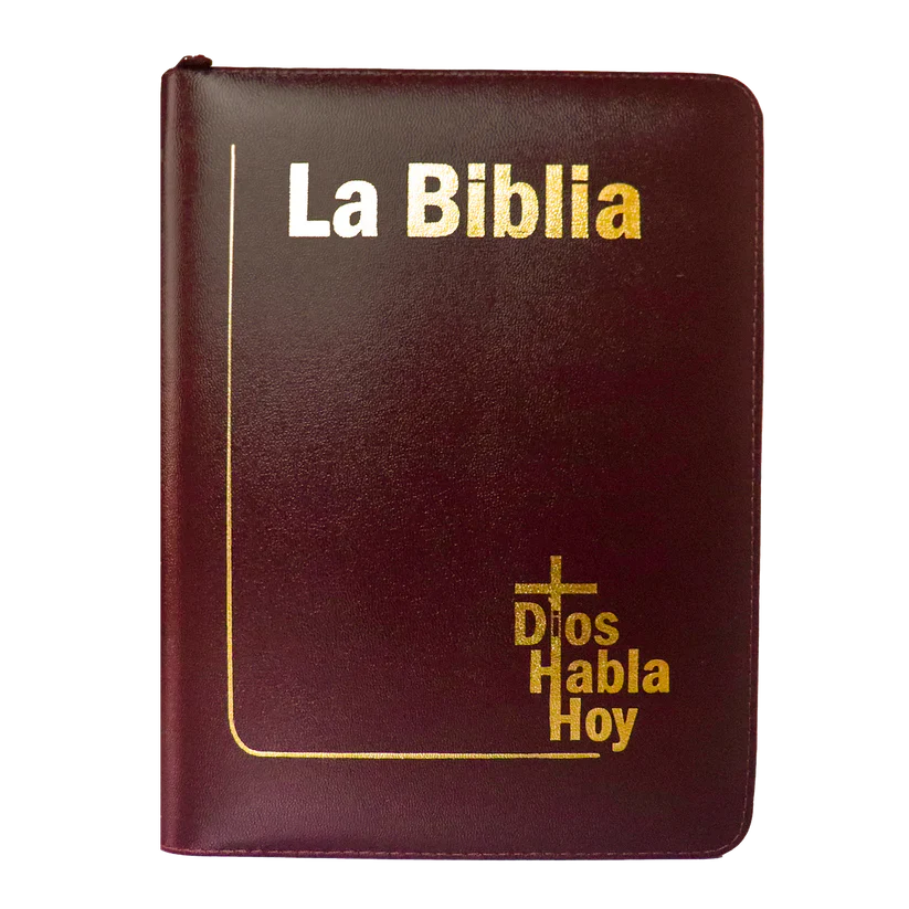 Biblia Dios Habla Hoy letra gigante imitación piel vino tinto canto pintado