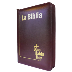 Biblia Dios Habla Hoy letra gigante imitación piel vino tinto canto pintado