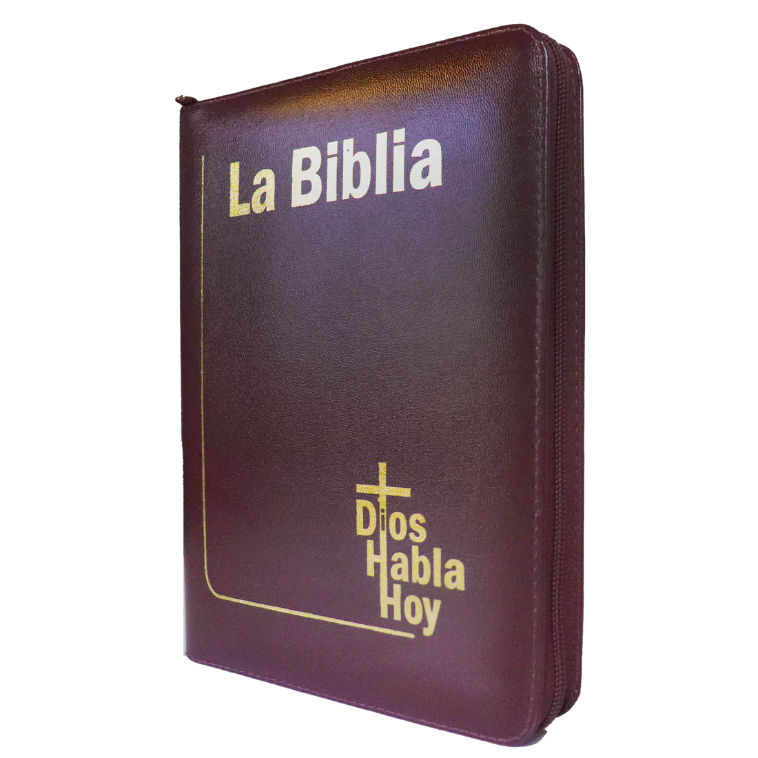 Biblia Dios Habla Hoy letra gigante imitación piel vino tinto canto pintado
