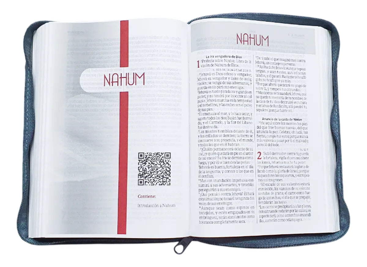 Biblia Reina Valera 1960 · 15x20 cm · Letra 11 pt · Concordancia · Con cierre · Imitación piel gris