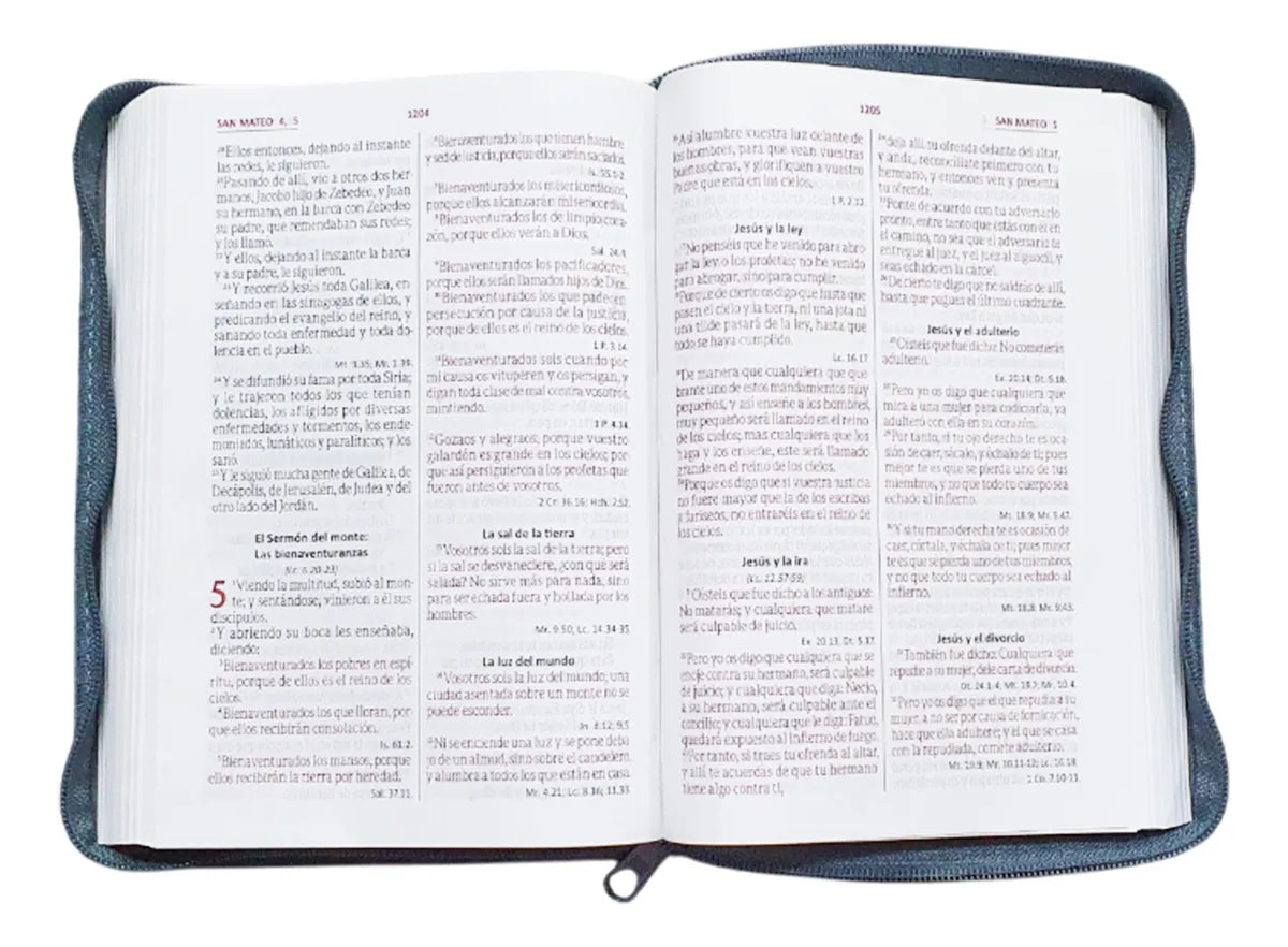 Biblia Reina Valera 1960 · 15x20 cm · Letra 11 pt · Concordancia · Con cierre · Imitación piel gris