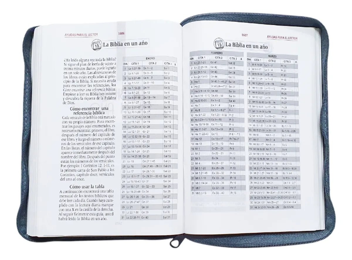 Biblia Reina Valera 1960 · 15x20 cm · Letra 11 pt · Concordancia · Con cierre · Imitación piel gris