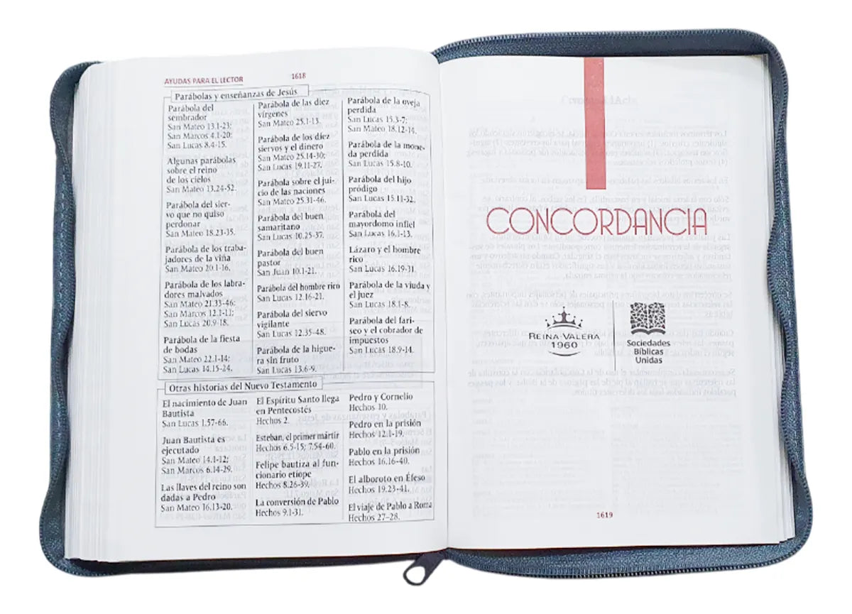 Biblia Reina Valera 1960 · 15x20 cm · Letra 11 pt · Concordancia · Con cierre · Imitación piel gris
